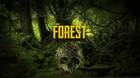 Trucos y comandos de la consola de The Forest