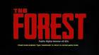 Estos son los Modos de juego de The Forest y lo que ofrecen
