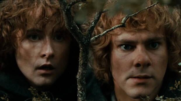 El Señor de los Anillos - Cuál fue el final de la historia para Merry y Pippin
