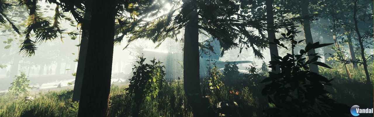 Mapa interactivo para encontrarlo todo en The Forest - The Forest